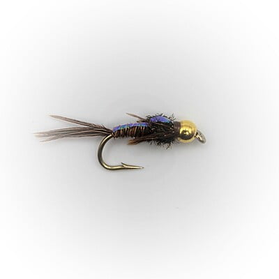 Fly Fishing